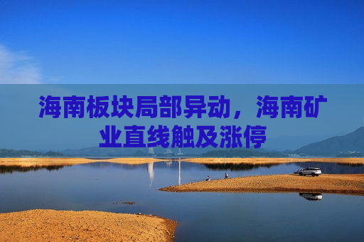 海南板块局部异动，海南矿业直线触及涨停  第1张