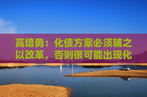 高培勇：化债方案必须辅之以改革，否则很可能出现化债之后的再化债  第1张