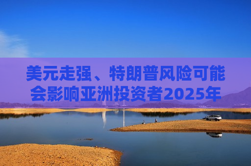 美元走强、特朗普风险可能会影响亚洲投资者2025年投资押注  第1张