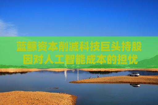 蓝鲸资本削减科技巨头持股 因对人工智能成本的担忧
