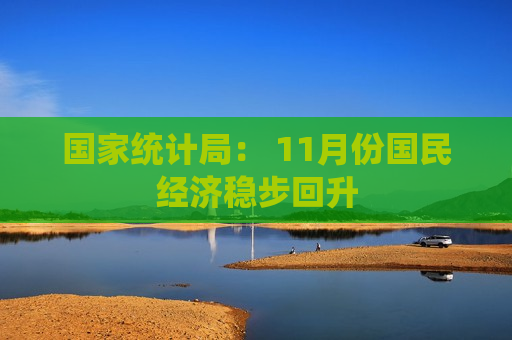 国家统计局： 11月份国民经济稳步回升  第1张