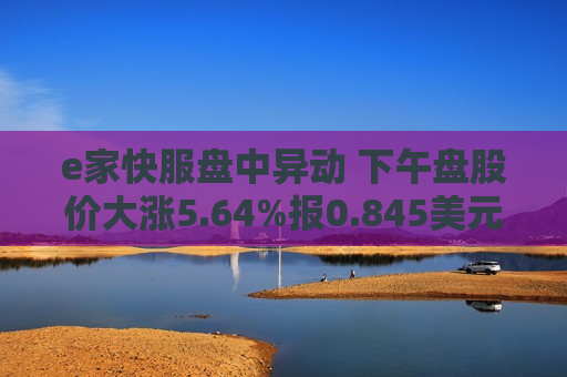 e家快服盘中异动 下午盘股价大涨5.64%报0.845美元  第1张