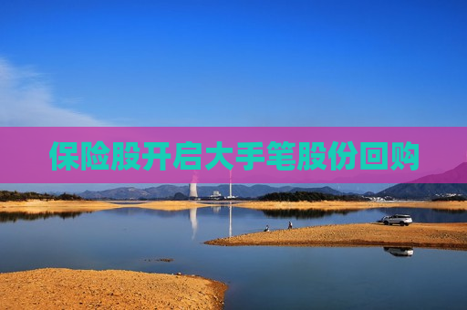 保险股开启大手笔股份回购  第1张