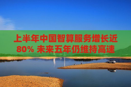 上半年中国智算服务增长近80% 未来五年仍维持高速发展  第1张