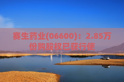 赛生药业(06600)：2.85万份购股权已获行使  第1张
