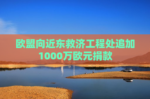 欧盟向近东救济工程处追加1000万欧元捐款  第1张