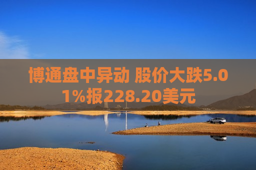 博通盘中异动 股价大跌5.01%报228.20美元