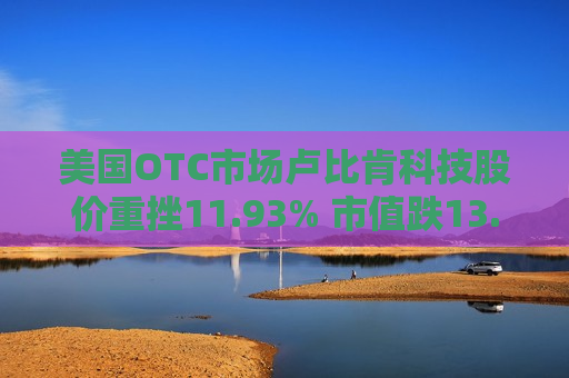 美国OTC市场卢比肯科技股价重挫11.93% 市值跌13.78万美元  第1张
