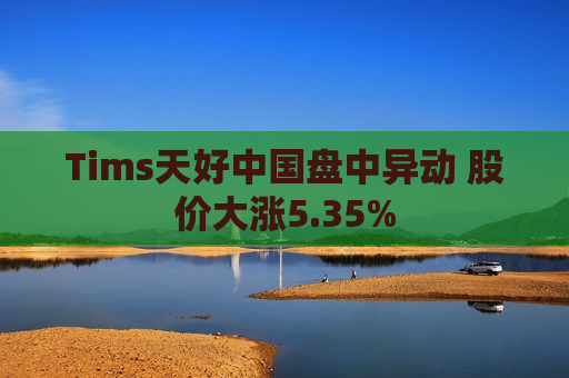 Tims天好中国盘中异动 股价大涨5.35%