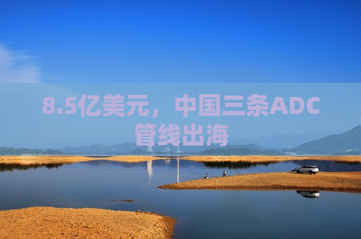 8.5亿美元，中国三条ADC管线出海  第1张