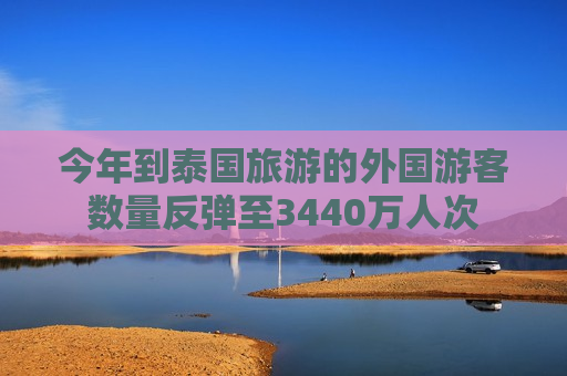 今年到泰国旅游的外国游客数量反弹至3440万人次  第1张