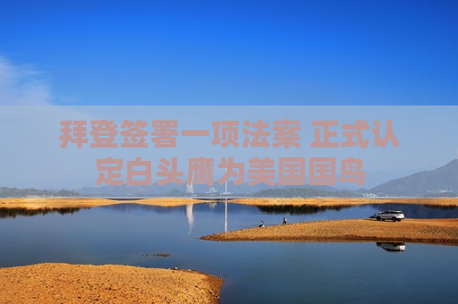 拜登签署一项法案 正式认定白头鹰为美国国鸟