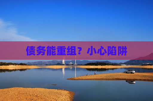 债务能重组？小心陷阱  第1张