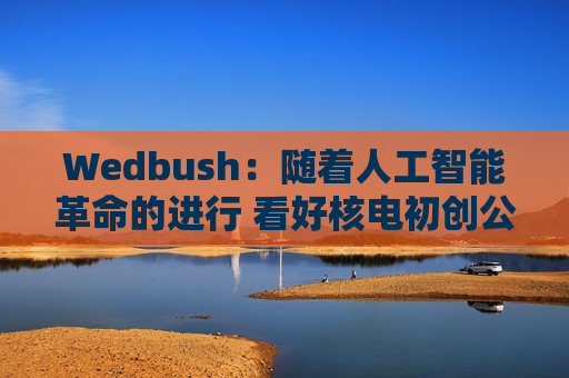 Wedbush：随着人工智能革命的进行 看好核电初创公司Oklo  第1张
