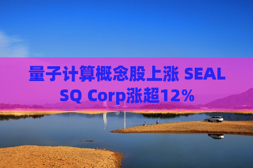 量子计算概念股上涨 SEALSQ Corp涨超12%  第1张