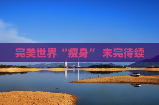 完美世界“瘦身” 未完待续