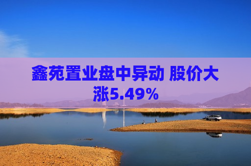 鑫苑置业盘中异动 股价大涨5.49%  第1张