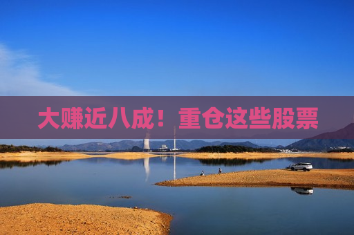 大赚近八成！重仓这些股票  第1张