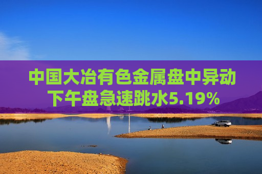 中国大冶有色金属盘中异动 下午盘急速跳水5.19%  第1张