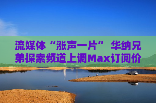 流媒体“涨声一片” 华纳兄弟探索频道上调Max订阅价格  第1张