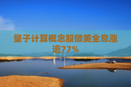 量子计算概念股微美全息涨逾77%  第1张