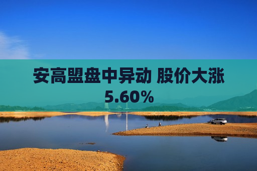 安高盟盘中异动 股价大涨5.60%