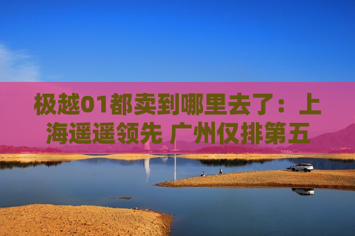 极越01都卖到哪里去了：上海遥遥领先 广州仅排第五