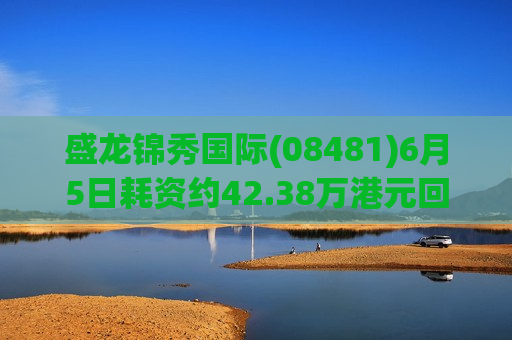盛龙锦秀国际(08481)6月5日耗资约42.38万港元回购68.5万股