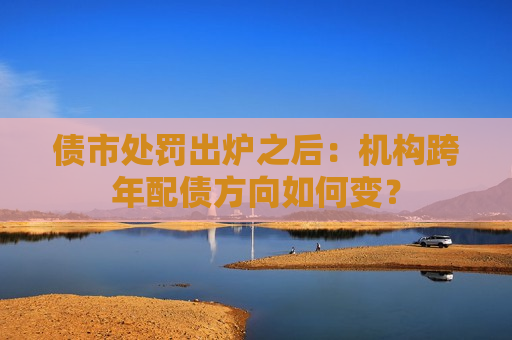 债市处罚出炉之后：机构跨年配债方向如何变？