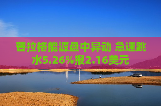 普拉格能源盘中异动 急速跳水5.26%报2.16美元  第1张