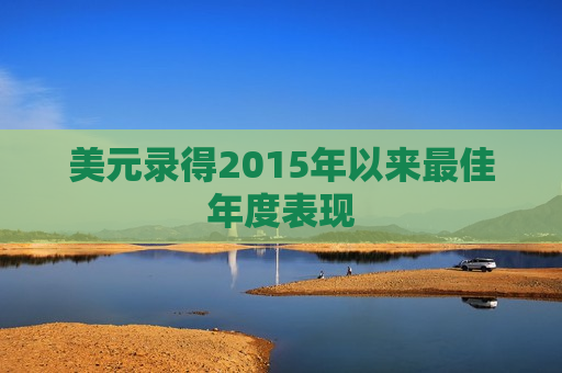 美元录得2015年以来更佳年度表现  第1张
