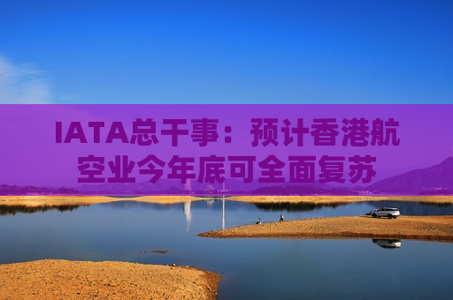 IATA总干事：预计香港航空业今年底可全面复苏