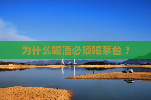 为什么喝酒必须喝茅台 ？