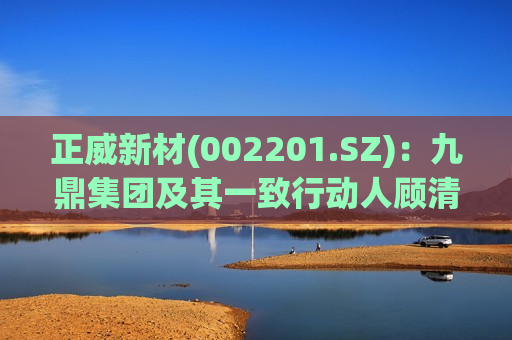 正威新材(002201.SZ)：九鼎集团及其一致行动人顾清波增持942.81万股股份  第1张