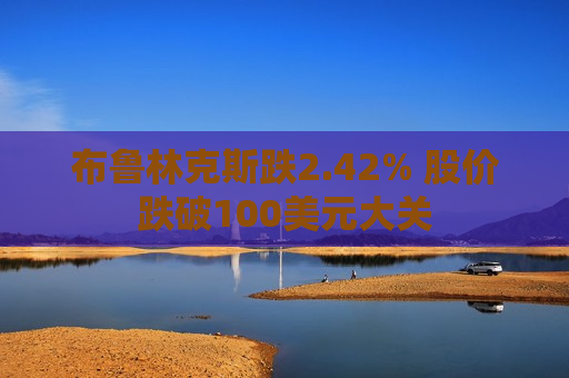 布鲁林克斯跌2.42% 股价跌破100美元大关  第1张