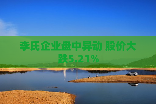 李氏企业盘中异动 股价大跌5.21%  第1张