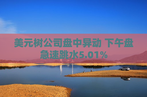 美元树公司盘中异动 下午盘急速跳水5.01%