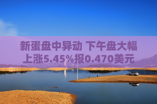 新蛋盘中异动 下午盘大幅上涨5.45%报0.470美元