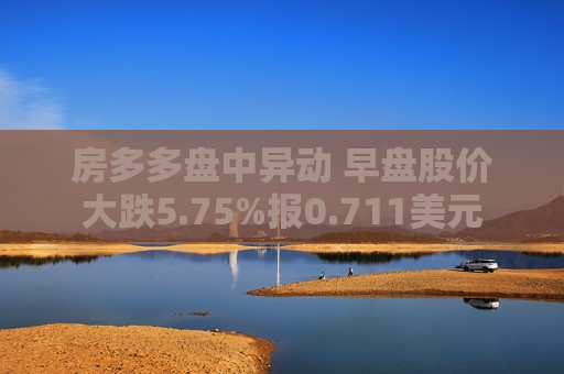 房多多盘中异动 早盘股价大跌5.75%报0.711美元  第1张