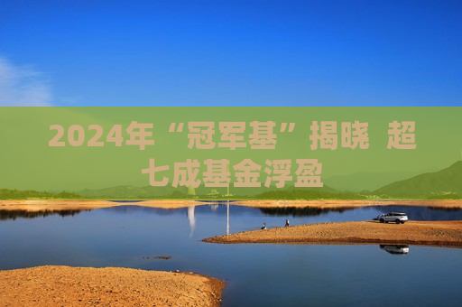 2024年“冠军基”揭晓  超七成基金浮盈 第1张