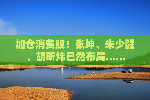 加仓消费股！张坤、朱少醒、胡昕炜已然布局……  第1张