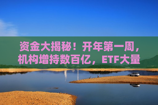 资金大揭秘！开年之一周，机构增持数百亿，ETF大量涌入……  第1张