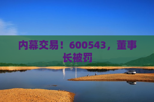 内幕交易！600543，董事长被罚
