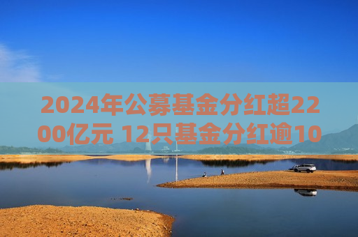 2024年公募基金分红超2200亿元 12只基金分红逾10亿元  第1张