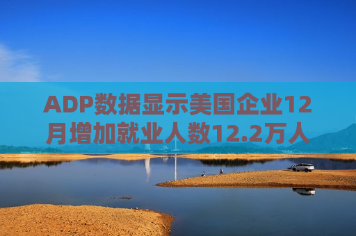 ADP数据显示美国企业12月增加就业人数12.2万人 低于预期