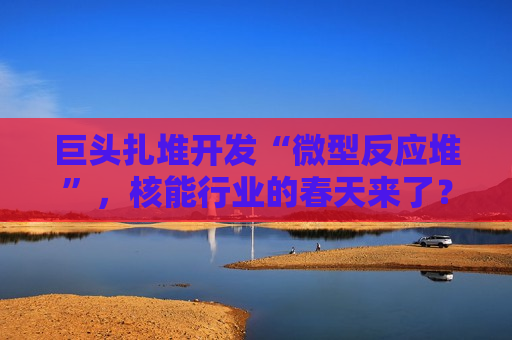巨头扎堆开发“微型反应堆”，核能行业的春天来了？