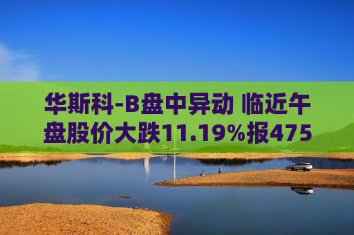 华斯科-B盘中异动 临近午盘股价大跌11.19%报475.15美元  第1张