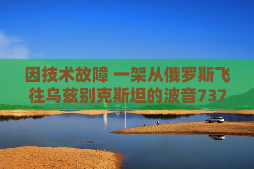 因技术故障 一架从俄罗斯飞往乌兹别克斯坦的波音737客机紧急降落
