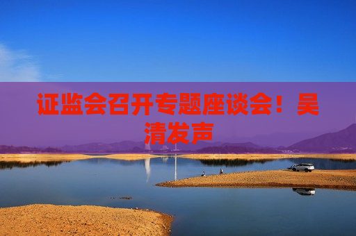  *** 召开专题座谈会！吴清发声