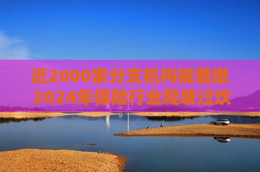 近2000家分支机构被裁撤 2024年保险行业爬坡过坎